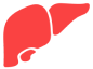 liver icon